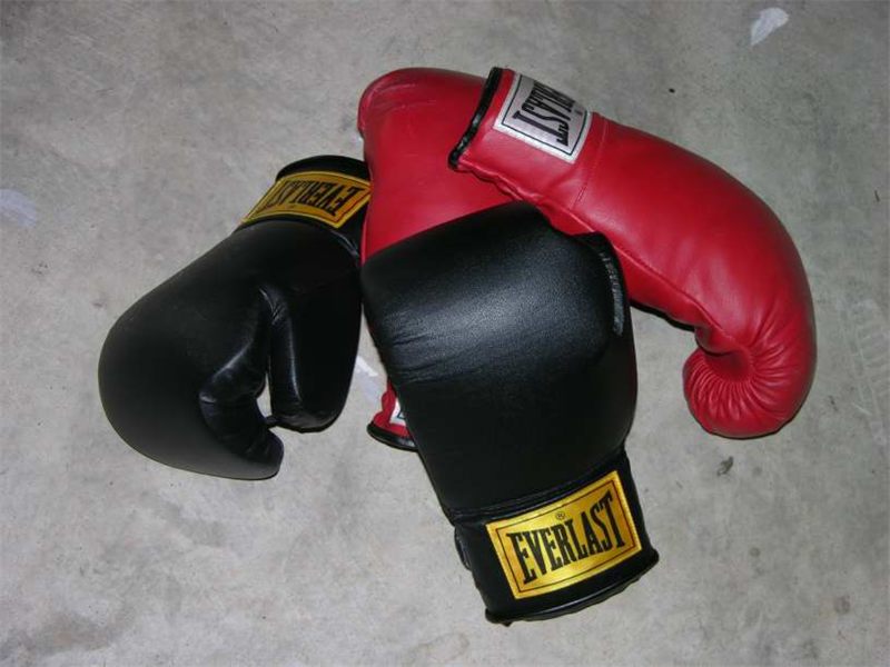 Sarung Tinju Everlast Pro Training Original